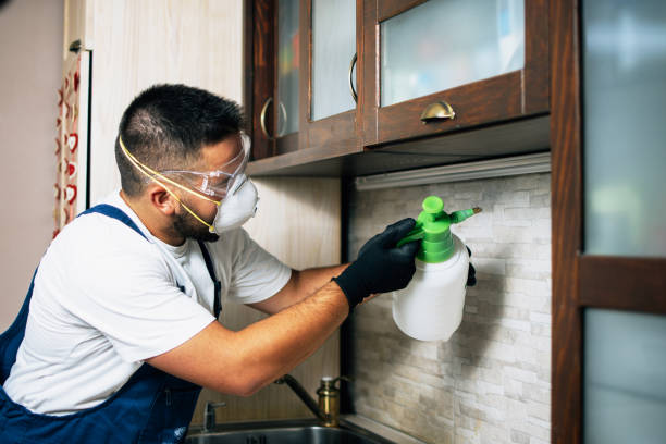 Reliable Florin, CA Pest Control Solutions