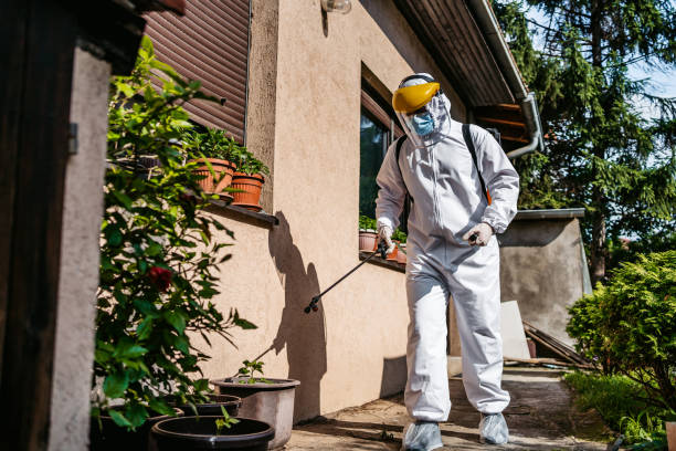Best Wasp Removal Services  in Florin, CA