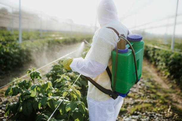 Best Mosquito Control Services  in Florin, CA